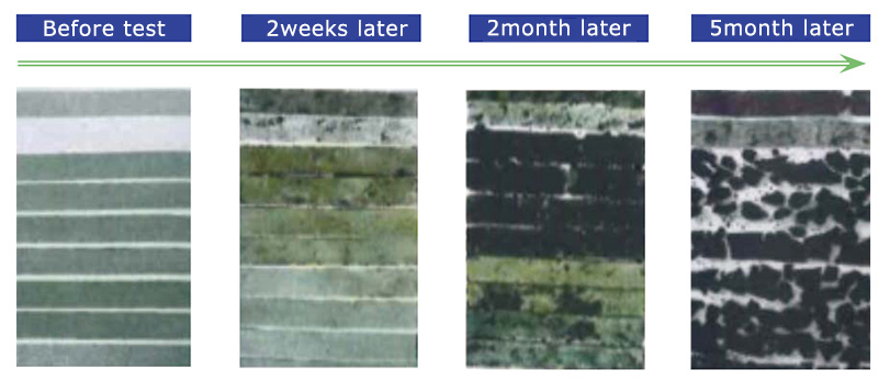 Biodegradation data