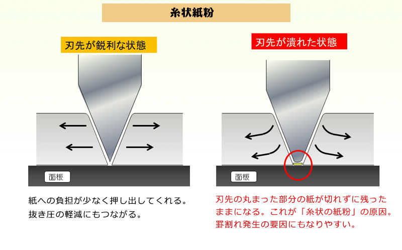 ②糸状紙粉00