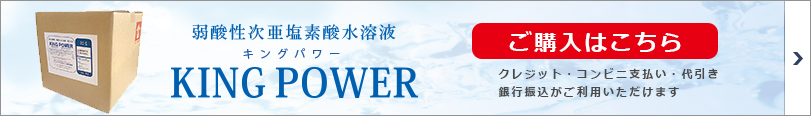 KING POWER_banner01